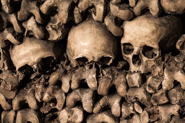 Small-group guided tour of Paris catacombs